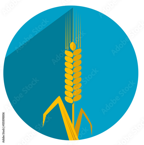 Flat with shadow icon ear wheat