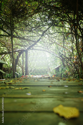 Tunnel trees and walkways