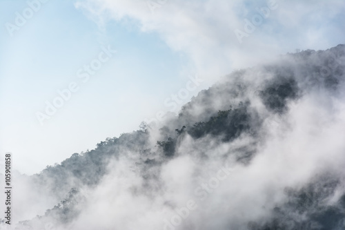 Mountain cover with deep mist.
