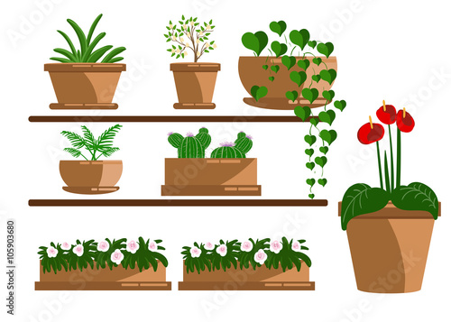 Illustration of houseplants.succulents, home flowers, houseplant in pot. Set of houseplant. isolated on white