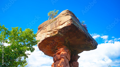 Teufelstisch im Daner Felsenland Rheinland Pfalz Deutschland