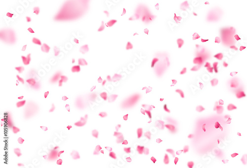 Fotografia Vector bright cherry petals fall down.