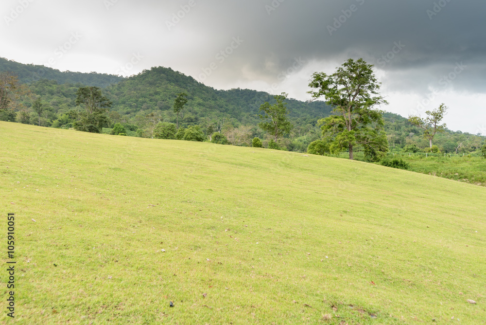 Grass field on upper terrain