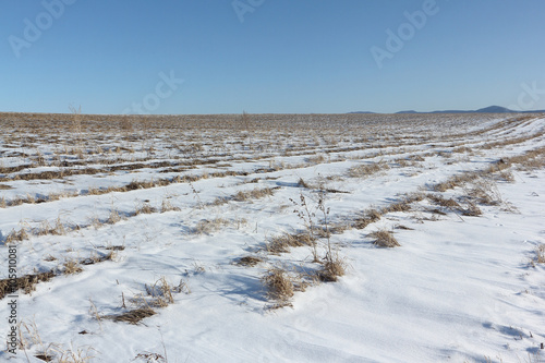 Wallpaper Mural The plowed field in snow in the early spring Torontodigital.ca