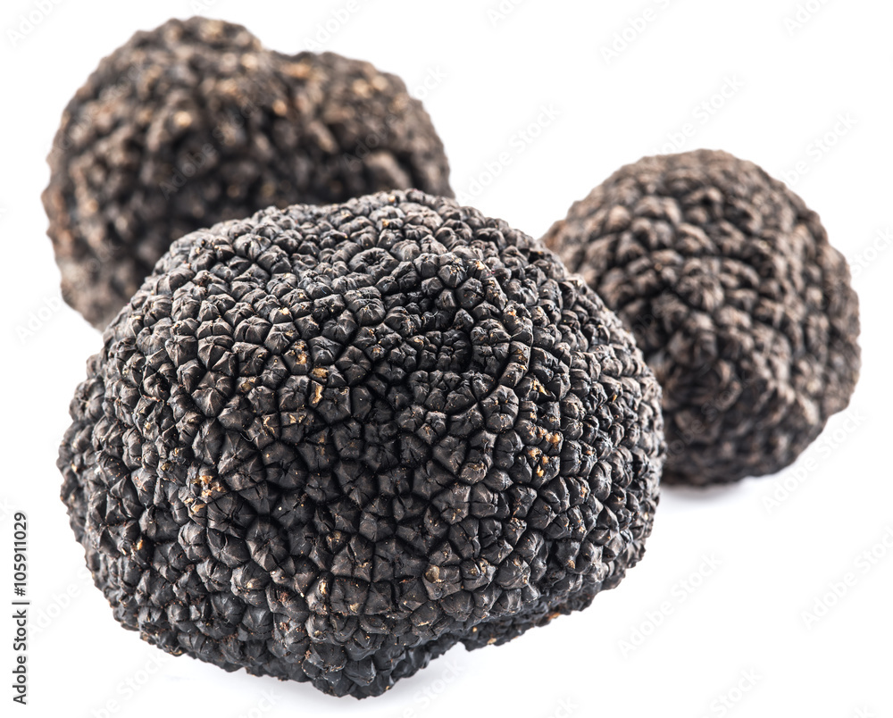 Black truffles isolated on a white background. Black truffles isolated on a white background.