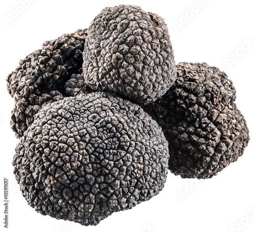 Black truffles. File contains clipping paths.