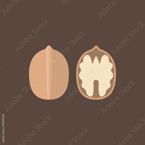 walnut icons set, flat design