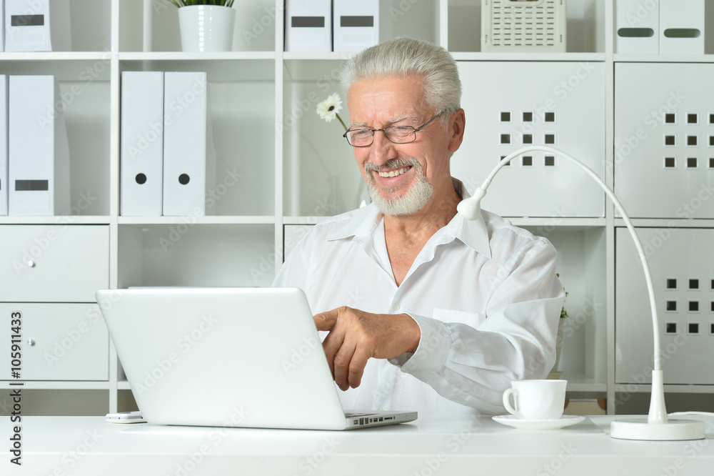 Mature businessman working with laptop Mature businessman working with laptop