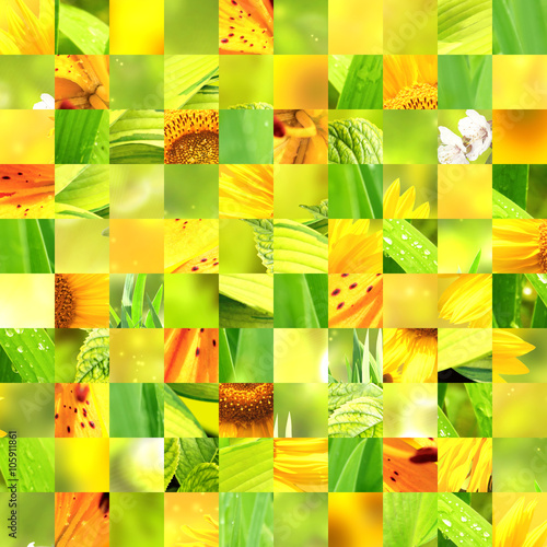 Seamless background with sunflower patterns