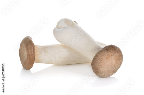 eryngii mushroom or King oyster mushroom on white background