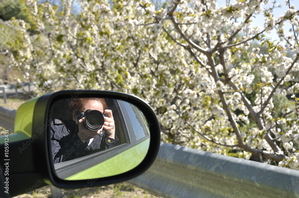 Woman reflected in the rearview mirror of a car taking a picture of the cherry trees in bloom on a spring day