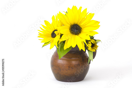 Fototapeta Naklejka Na Ścianę i Meble -  sunflowers on white background (Helianthus)