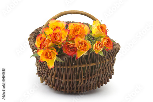 roses in a basket