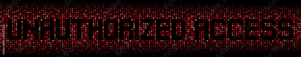 Unauthorized Access text on hex code illustration Unauthorized Access text on hex code illustration