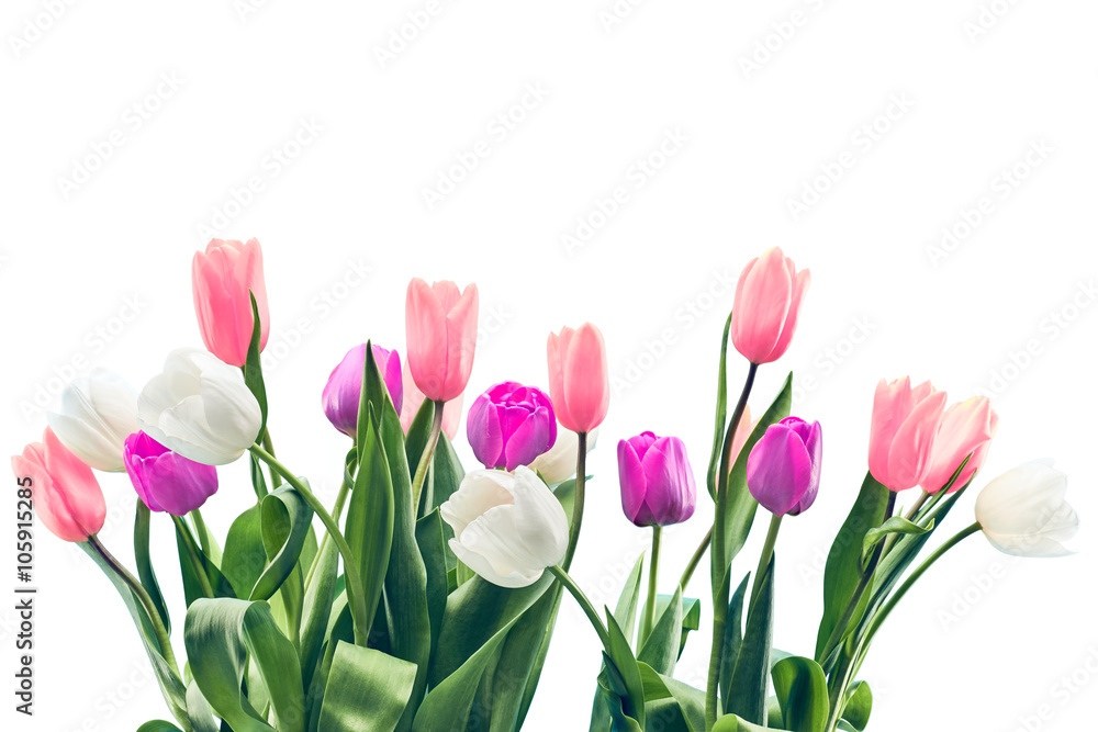 Fresh tulips background. Mothers Day, Easter Fresh tulips background. Mothers Day, Easter