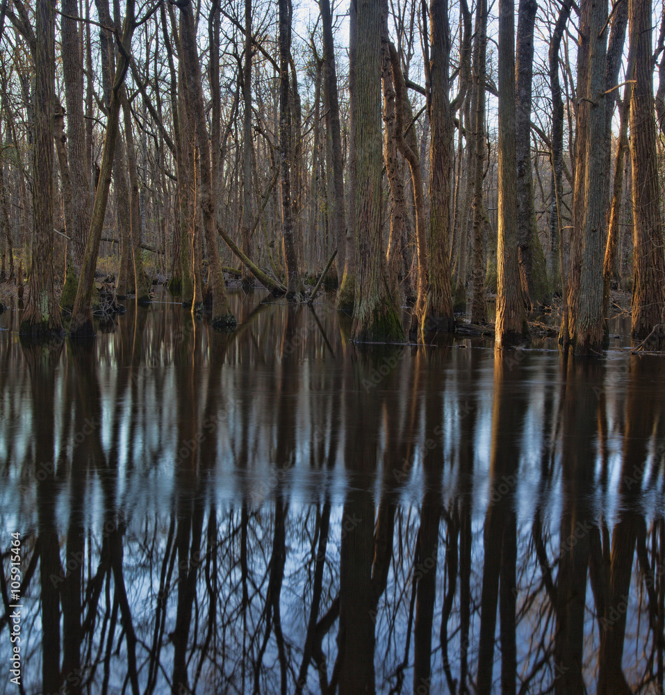 Late day river