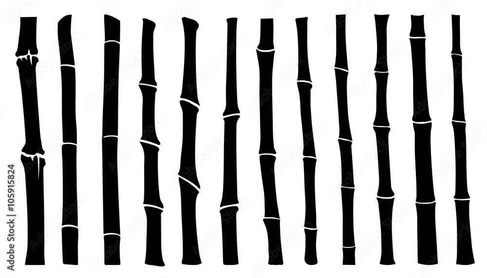 Obraz premium bamboo stick silhouettes