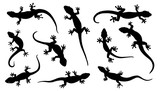 lizard silhouettes