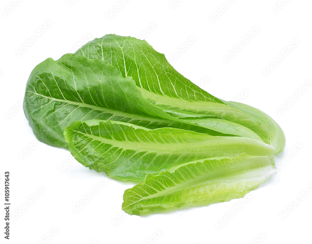 Green cos lettuce leaf on white Background Green cos lettuce leaf on white Background