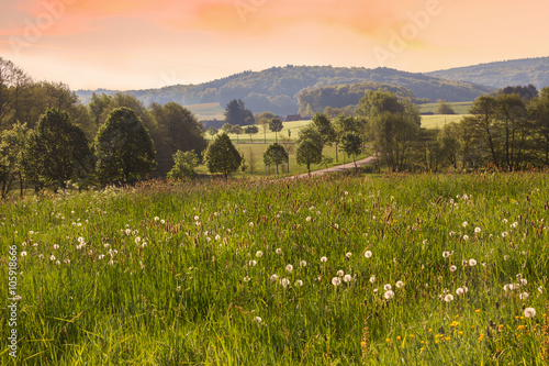 Fotografie hügelige Landschaft im Saarland, Morgenstimmung