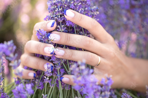 Fototapeta Naklejka Na Ścianę i Meble -  lavender in the hands