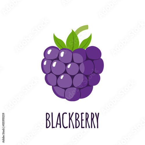 Blackberry fruit icon in flat style