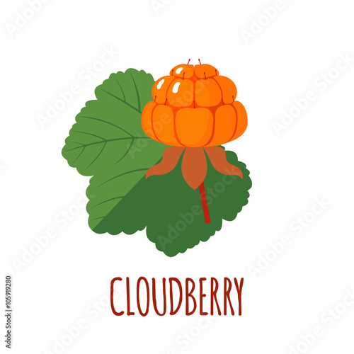 Cloudberry icon in flat style on white background