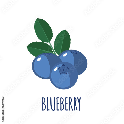 Blueberry icon in flat style on white background