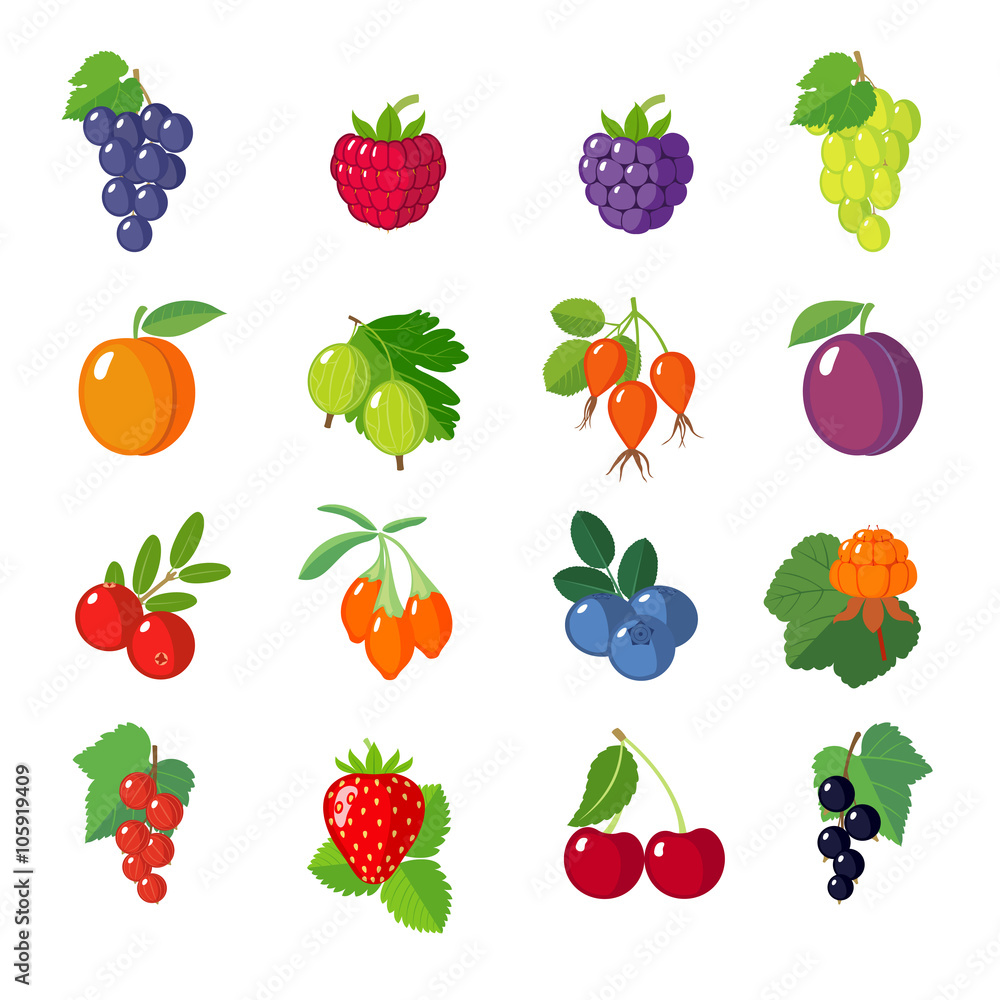 Set of flat berries. Set of flat berries.