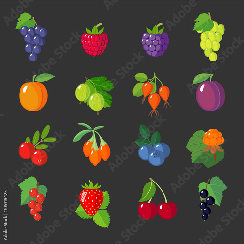 Fototapeta Naklejka Na Ścianę i Meble -  Set of flat berries.