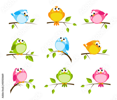Set of cute color birds © evgeniya_m