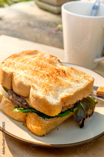 Yummy Beef and cheese Grilled Sandwich on round cream color plat