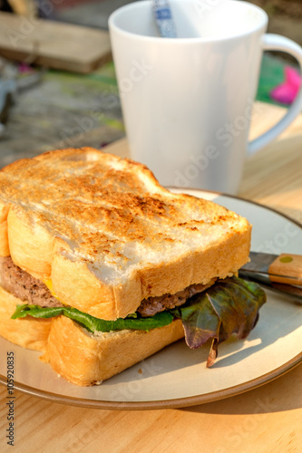 Yummy Beef and cheese Grilled Sandwich on round cream color plat