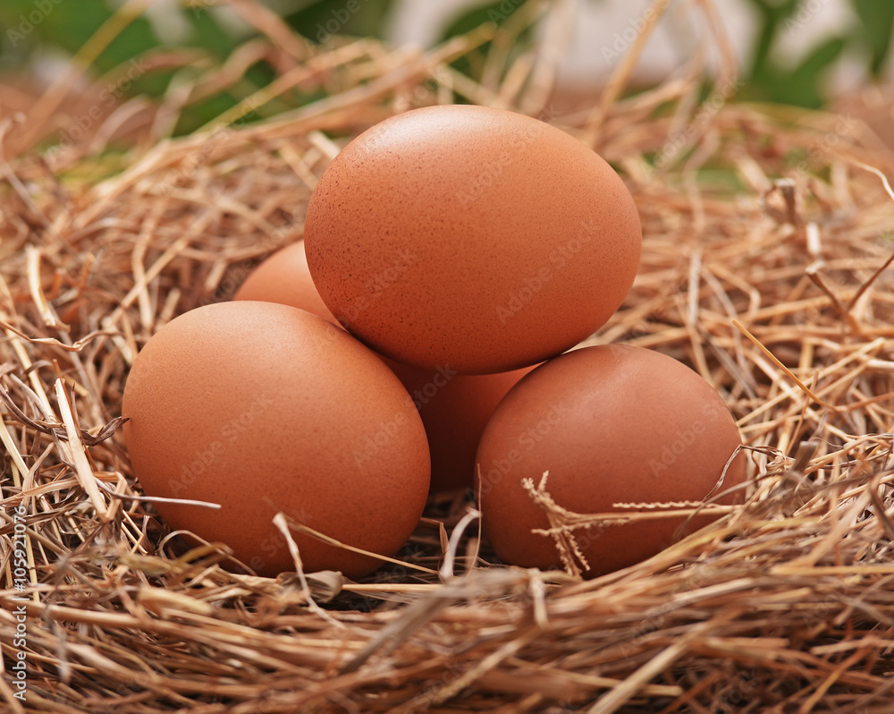 Place the eggs in a hay Place the eggs in a hay