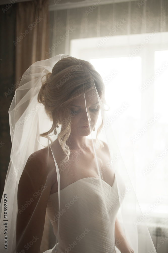 Portrait of beautiful bride with fashion veil at wedding morning. Wedding dress. Portrait of beautiful bride with fashion veil at wedding morning. Wedding dress.
