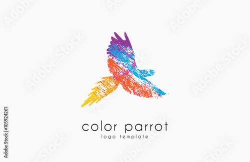 Parrot logo design. Color parrot. Bird logo. Exotic logo.