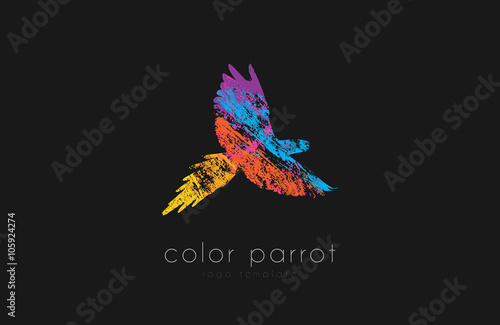 Parrot logo design. Color parrot. Bird logo. Exotic logo.
