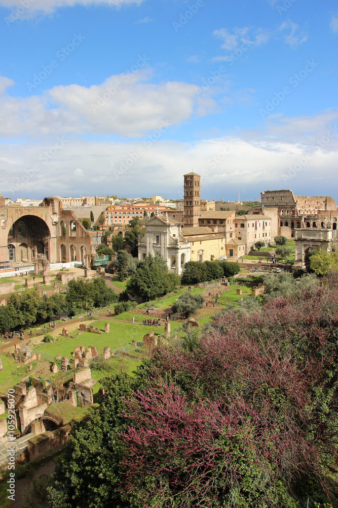Rome,Italy,Roman Forum,Foro Romano,spring.