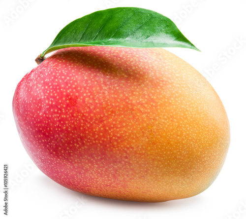 Mango fruit with leaf isolated on the white background.