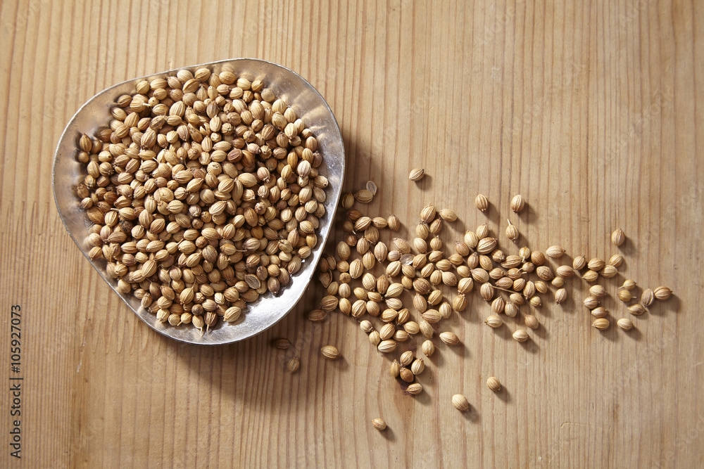 coriander seed coriander seed