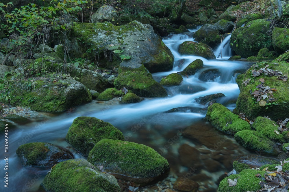 Obraz premium Il torrente Pesio