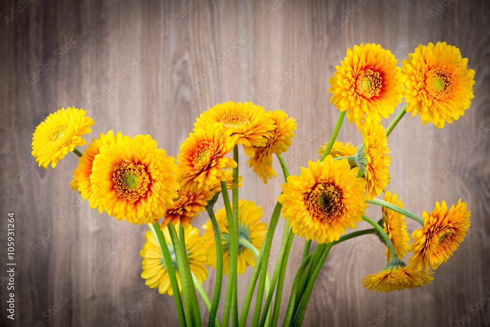 Fototapeta premium Daisy flowers on wooden background