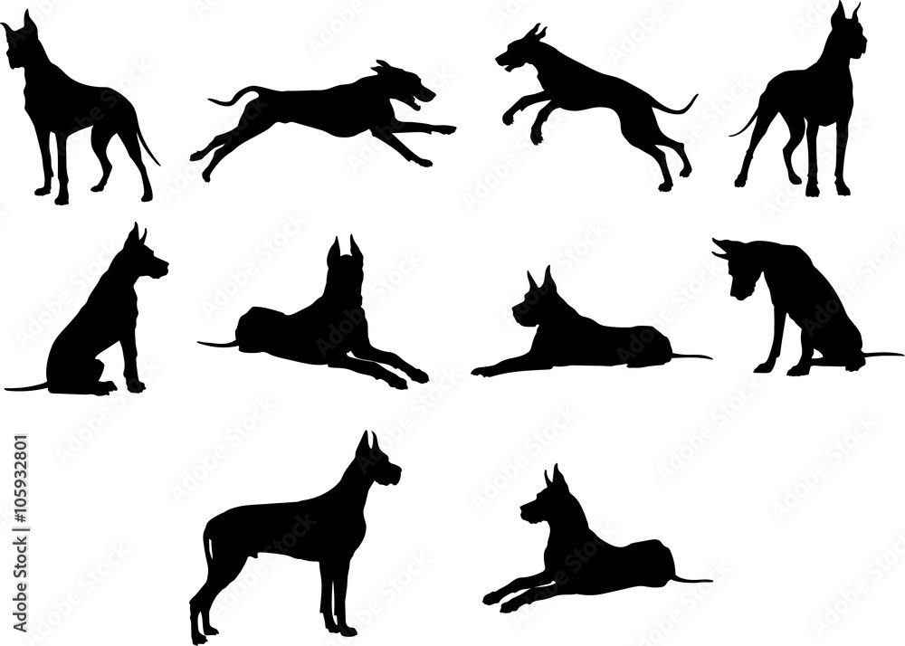 Dog, breed, Dog, vector, graphic,animal, illustration, art, picture Dog, breed, Dog, vector, graphic,animal, illustration, art, picture