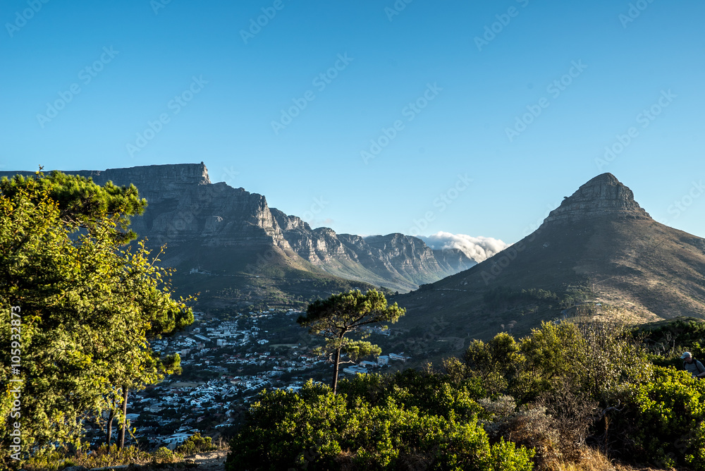 Fototapeta premium Mountain View in Cape Town