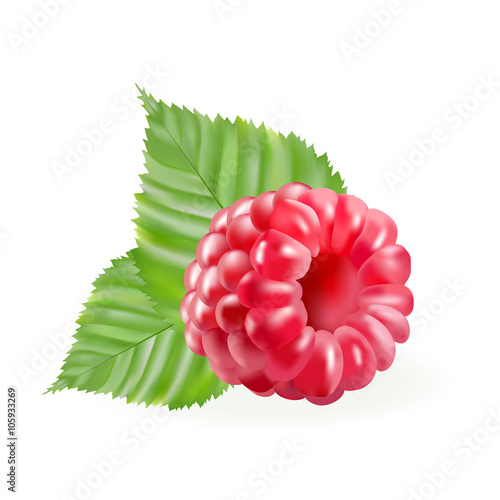 rasberries with green leaves