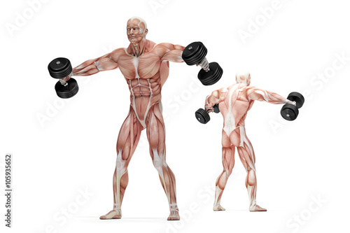 Lateral raises shoulders exercise. Anatomical illustration. Isolated. Clipping path photo