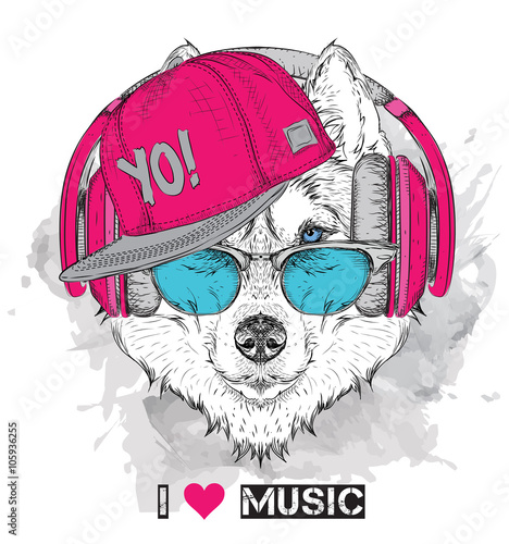 Husky in glasses and headphones. Vector illustration.