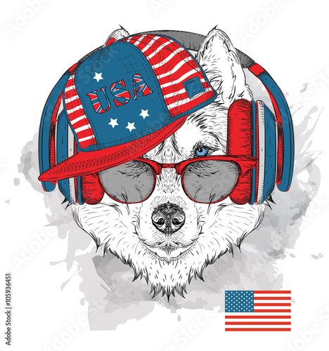 Illustration of husky in the glasses, headphones and in hip-hop hat with print of USA. Vector illustration.