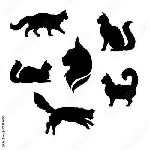 Foto Maine Coon cat icons and silhouettes.