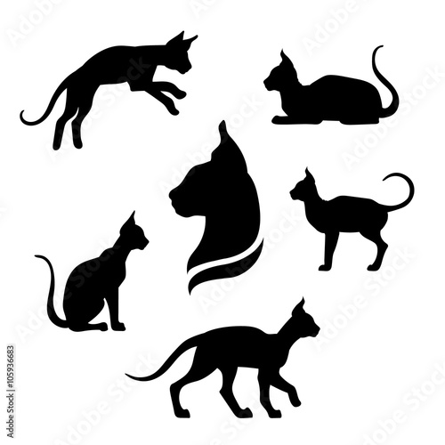 Sphynx cat icons and silhouettes. 